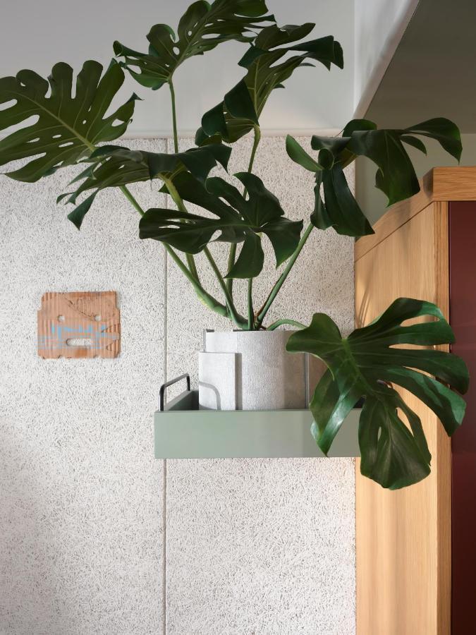 Ace Hotel Sydney Esterno foto Monstera deliciosa